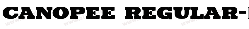Canopee regular字体转换